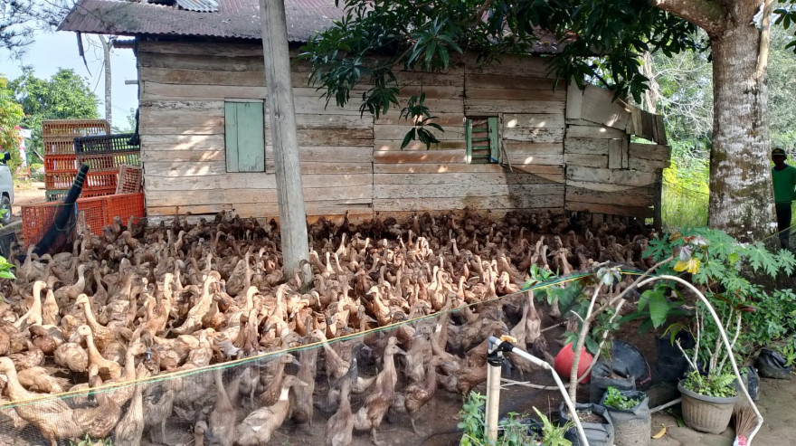 PEMBAGIAN KETAHANAN PANGAN